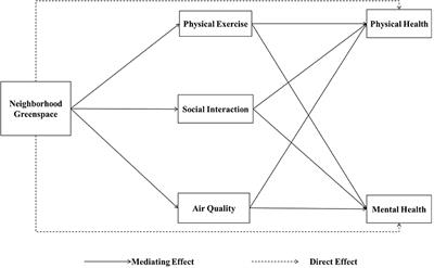 Association Pathways Between Neighborhood Greenspaces and the Physical and Mental Health of Older Adults—A Cross-Sectional Study in Guangzhou, China